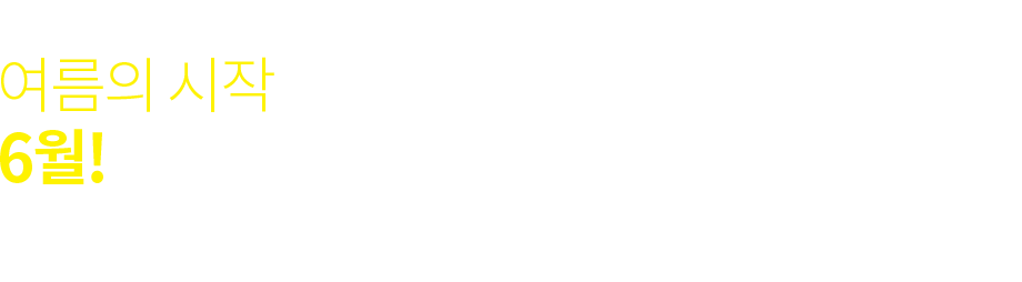 ǽ6
